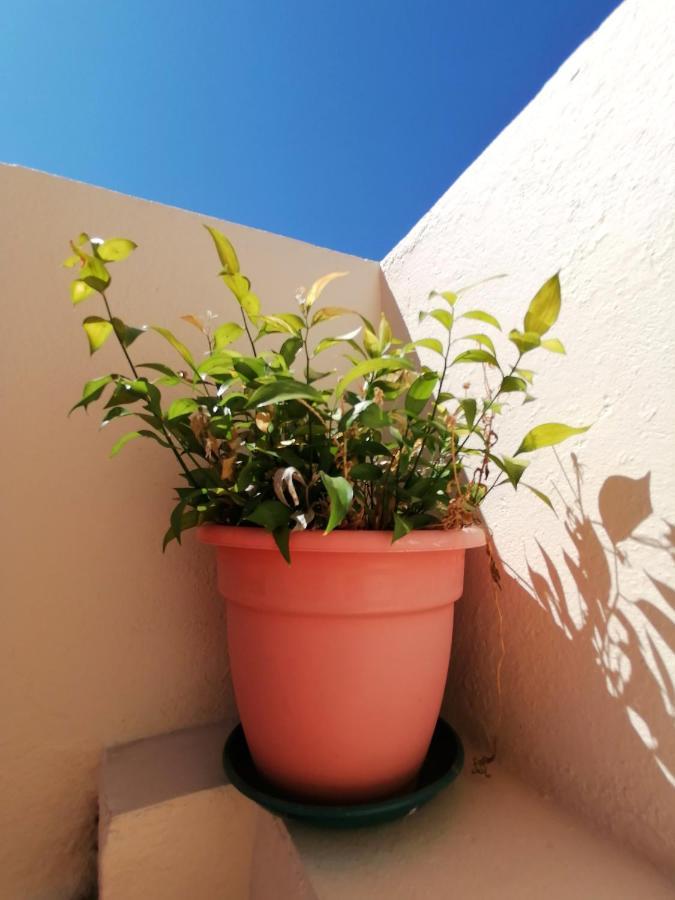 Apartamento Penha T3 Faro Ngoại thất bức ảnh